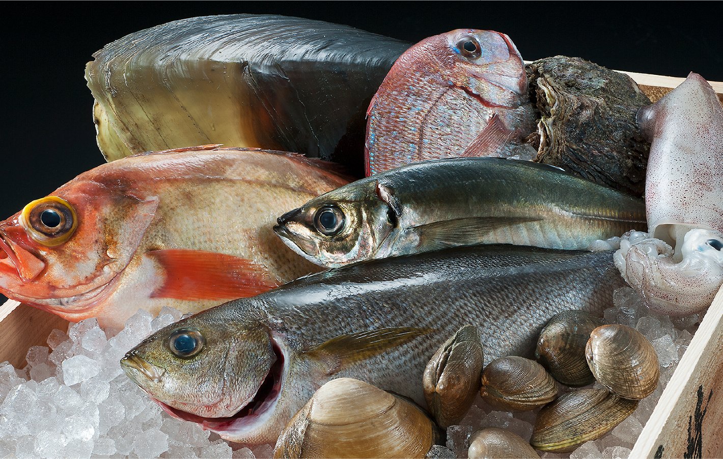 鮮魚
